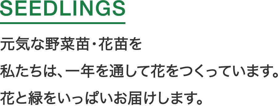 三日市産業は仕事を通じ社会貢献を目指します。 contribute to society